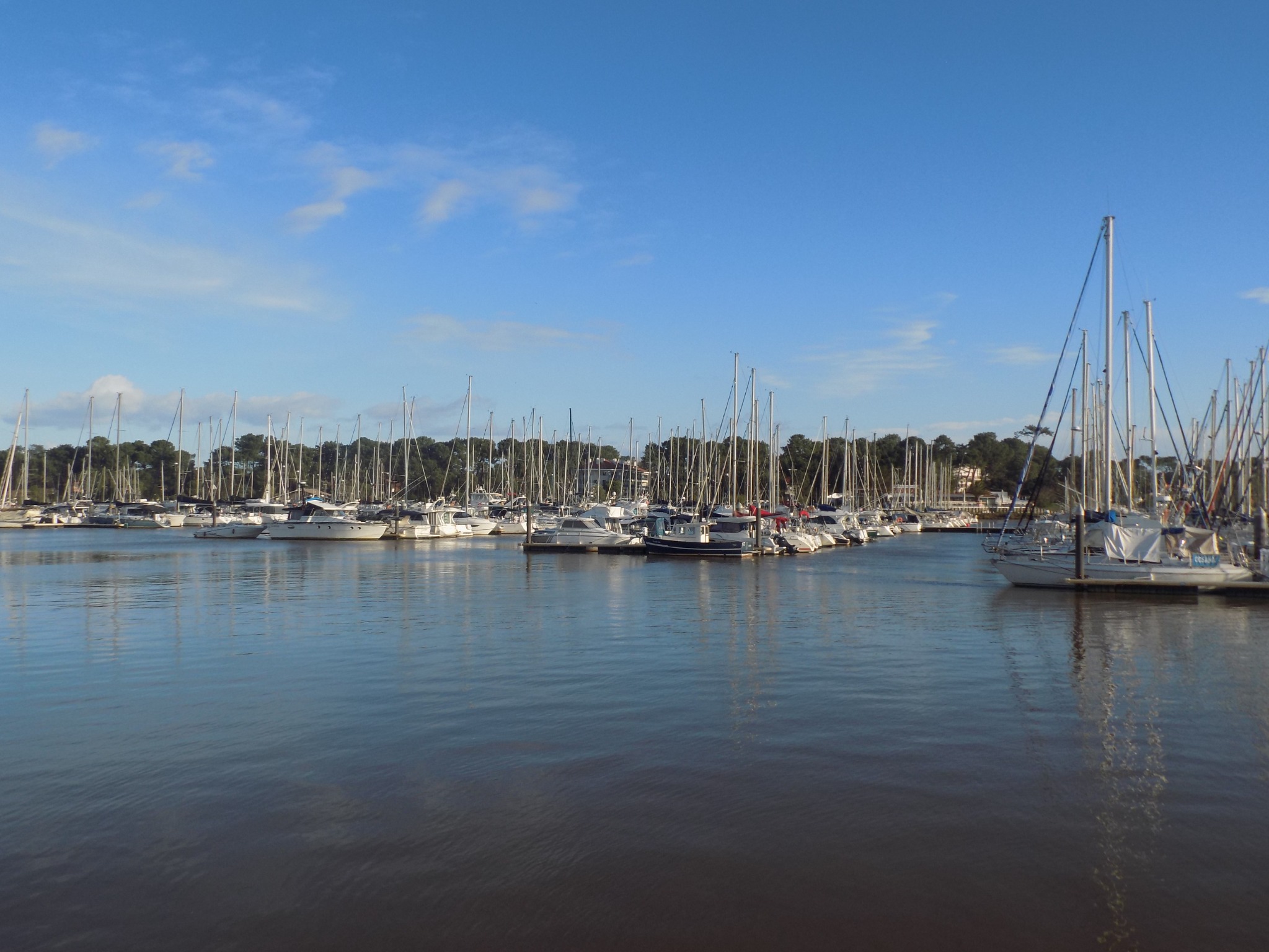 Port avec voiliers et eau calme